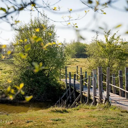 Hotell Le Domaine De La Barre Gourgé