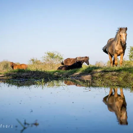 Le Domaine De La Barre