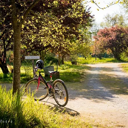 Le Domaine De La Barre Saint Michel منتزه العطل