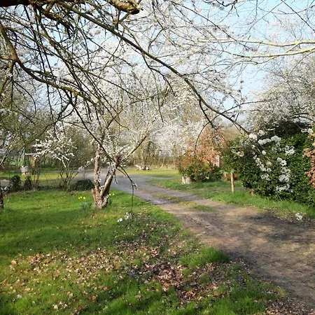 منتزه العطل Le Domaine De La Barre Saint Michel