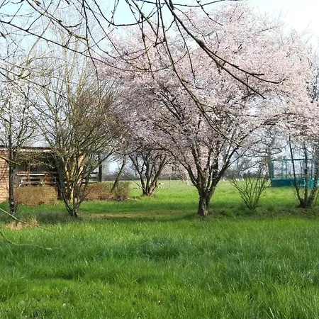 Le Domaine De La Barre * Gourgé