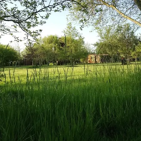 Le Domaine De La Barre Saint Michel منتزه العطل