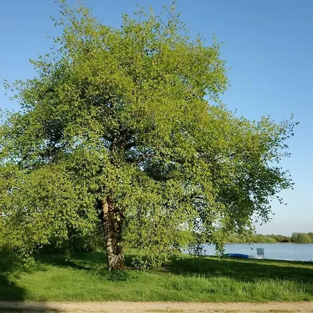 Le Domaine De La Barre