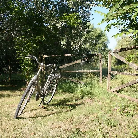 Le Domaine De La Barre * Gourgé