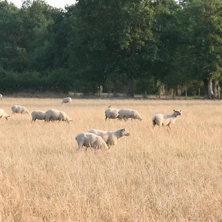 Hotell Le Domaine De La Barre