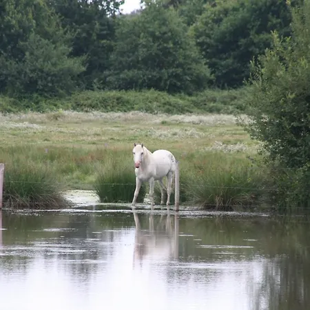 Le Domaine De La Barre * Gourgé